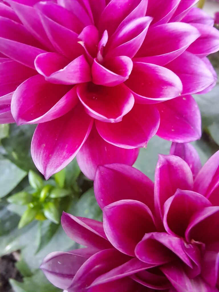 WhatsApp Image 2026 06 01 At 12.14.34 768x1024