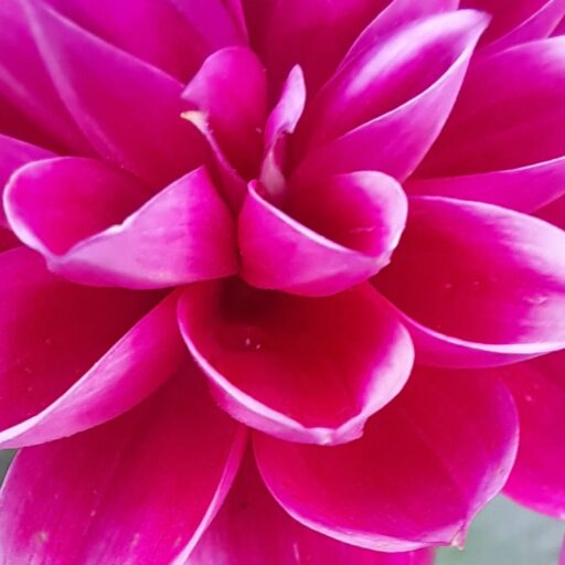 cropped whatsapp image 2026 06 01 at 12.14.34.jpeg